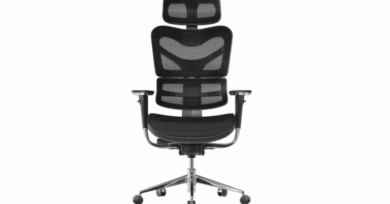 Hinomi vs. NextChair: A Comprehensive Comparison of Singapore’s Top Ergonomic Chairs